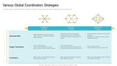 Various Global Coordination Strategies Ppt Model Files PDF