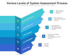 Various Levels Of System Assessment Process Ppt PowerPoint Presentation Pictures Summary PDF Various Levels Of System Assessment Process Ppt PowerPoint Presentation Pictures Summary PDF