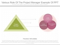 Various Role Of The Project Manager Example Of Ppt Various Role Of The Project Manager Example Of Ppt