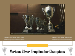 Various Silver Trophies For Champions Ppt PowerPoint Presentation Layouts Maker PDF Various Silver Trophies For Champions Ppt PowerPoint Presentation Layouts Maker PDF