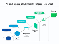 Various Stages Data Extraction Process Flow Chart Ppt PowerPoint Presentation Pictures Show PDF Various Stages Data Extraction Process Flow Chart Ppt PowerPoint Presentation Pictures Show PDF