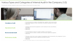 Various Types And Categories Of Internal Audit In The Company Audit Elements PDF