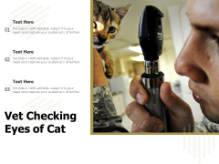 Vet Checking Eyes Of Cat Ppt PowerPoint Presentation File Inspiration PDF