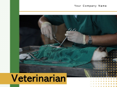 Veterinarian Doctor Examines Ppt PowerPoint Presentation Complete Deck Veterinarian Doctor Examines Ppt PowerPoint Presentation Complete Deck