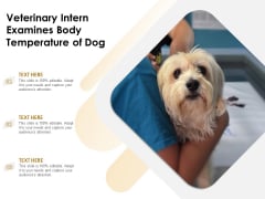 Veterinary Intern Examines Body Temperature Of Dog Ppt PowerPoint Presentation Inspiration Pictures PDF Veterinary Intern Examines Body Temperature Of Dog Ppt PowerPoint Presentation Inspiration Pictures PDF