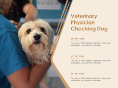 Veterinary Physician Checking Dog Ppt PowerPoint Presentation Ideas Graphics PDF