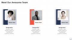 Virtual Video Hosting Platform Capital Raising Meet Our Awesome Team Slides PDF