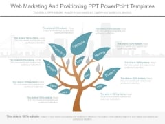 Web Marketing And Positioning Ppt Powerpoint Templates