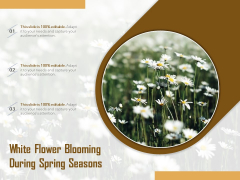 White Flower Blooming During Spring Seasons Ppt PowerPoint Presentation Summary Graphics Tutorials PDF White Flower Blooming During Spring Seasons Ppt PowerPoint Presentation Summary Graphics Tutorials PDF