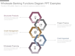 Wholesale Banking Functions Diagram Ppt Examples Wholesale Banking Functions Diagram Ppt Examples