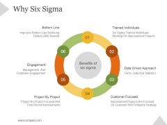 Why Six Sigma Ppt PowerPoint Presentation Introduction