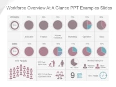 Workforce Overview At A Glance Ppt Examples Slides Workforce Overview At A Glance Ppt Examples Slides