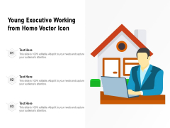 Young Executive Working From Home Vector Icon Ppt PowerPoint Presentation Gallery Format PDF Young Executive Working From Home Vector Icon Ppt PowerPoint Presentation Gallery Format PDF