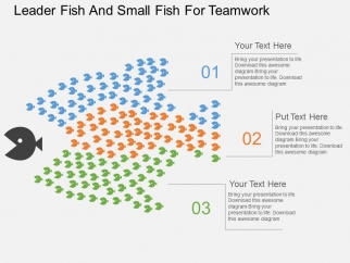 small fish template