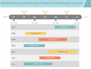 timeline report