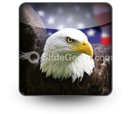 American Eagle01 PowerPoint Icon S