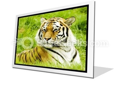 Amur Tiger PowerPoint Icon F Amur Tiger PowerPoint Icon F