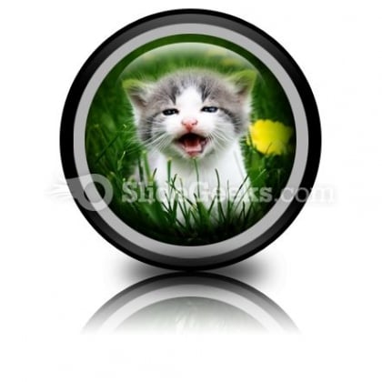 Baby Cat PowerPoint Icon Cc Baby Cat PowerPoint Icon Cc