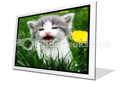 Baby Cat PowerPoint Icon F Baby Cat PowerPoint Icon F