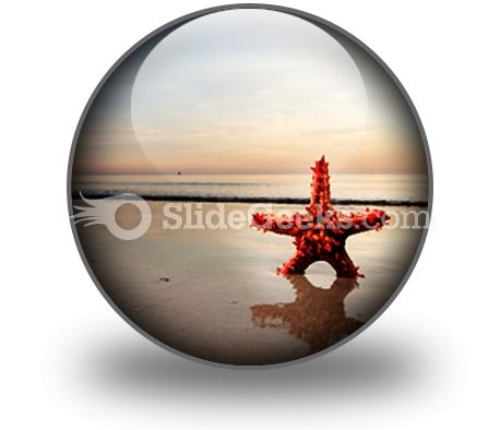 Beach Starfish PowerPoint Icon C Beach Starfish PowerPoint Icon C