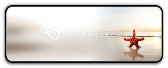 Beach Starfish PowerPoint Icon R Beach Starfish PowerPoint Icon R