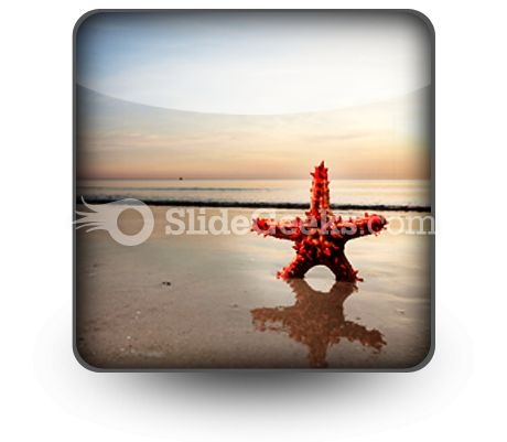 Beach Starfish PowerPoint Icon S Beach Starfish PowerPoint Icon S