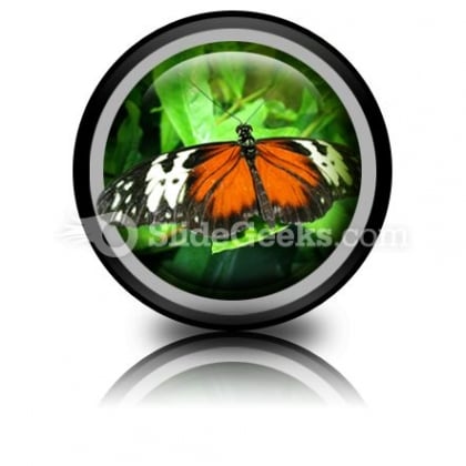 Big Butterfly PowerPoint Icon Cc Big Butterfly PowerPoint Icon Cc