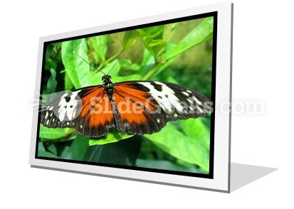Big Butterfly PowerPoint Icon F Big Butterfly PowerPoint Icon F