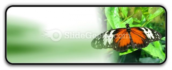 Big Butterfly PowerPoint Icon R Big Butterfly PowerPoint Icon R