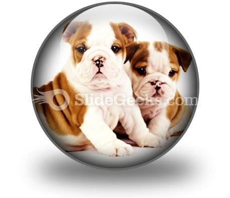 Bulldogs Animals PowerPoint Icon C Bulldogs Animals PowerPoint Icon C