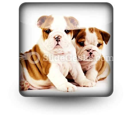 Bulldogs Animals PowerPoint Icon S Bulldogs Animals PowerPoint Icon S