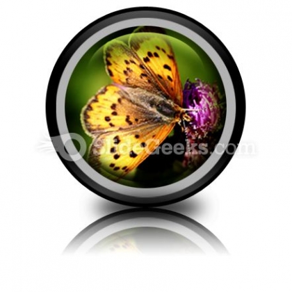 Butterfly PowerPoint Icon Cc Butterfly PowerPoint Icon Cc