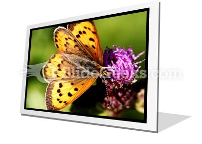 Butterfly PowerPoint Icon F Butterfly PowerPoint Icon F
