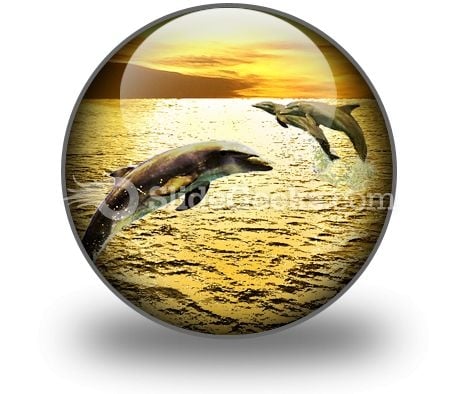 Dolphins PowerPoint Icon C Dolphins PowerPoint Icon C