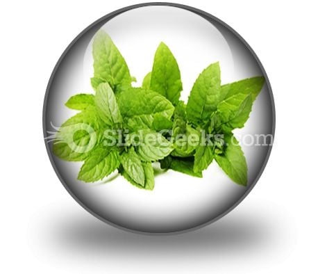 Fresh Green Mint Leaves PowerPoint Icon C Fresh Green Mint Leaves PowerPoint Icon C