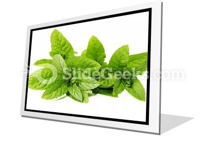 Fresh Green Mint Leaves PowerPoint Icon F Fresh Green Mint Leaves PowerPoint Icon F