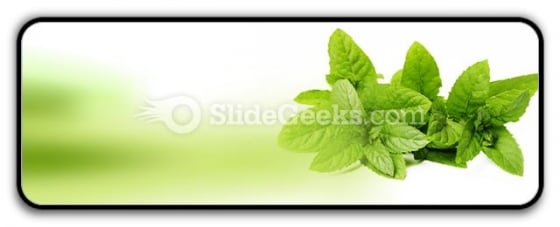 Fresh Green Mint Leaves PowerPoint Icon R Fresh Green Mint Leaves PowerPoint Icon R