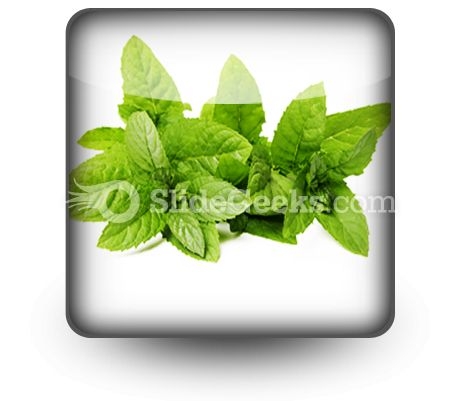 Fresh Green Mint Leaves PowerPoint Icon S Fresh Green Mint Leaves PowerPoint Icon S