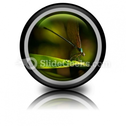 Insect PowerPoint Icon Cc Insect PowerPoint Icon Cc