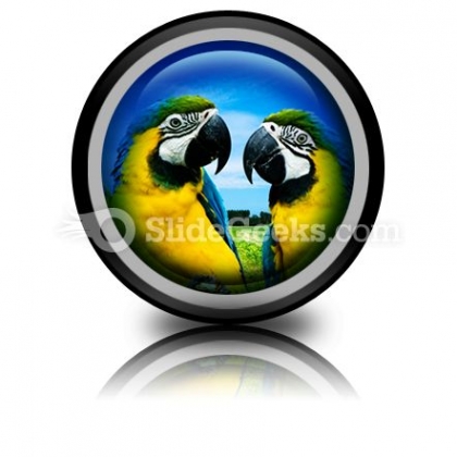 Parrots In Love PowerPoint Icon Cc Parrots In Love PowerPoint Icon Cc