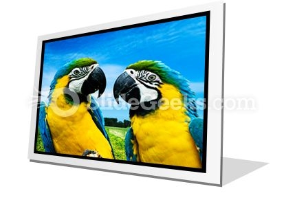 Parrots In Love PowerPoint Icon F Parrots In Love PowerPoint Icon F