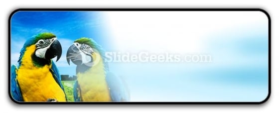 Parrots In Love PowerPoint Icon R Parrots In Love PowerPoint Icon R