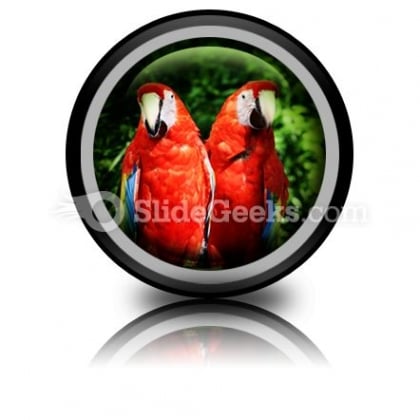 Red Parrots PowerPoint Icon Cc Red Parrots PowerPoint Icon Cc
