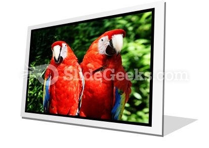 Red Parrots PowerPoint Icon F Red Parrots PowerPoint Icon F