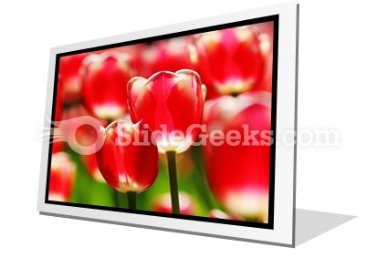 Red Tulips PowerPoint Icon F Red Tulips PowerPoint Icon F