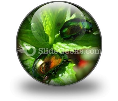 Shiny Beetles PowerPoint Icon C