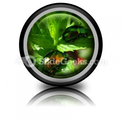 Shiny Beetles PowerPoint Icon Cc Shiny Beetles PowerPoint Icon Cc