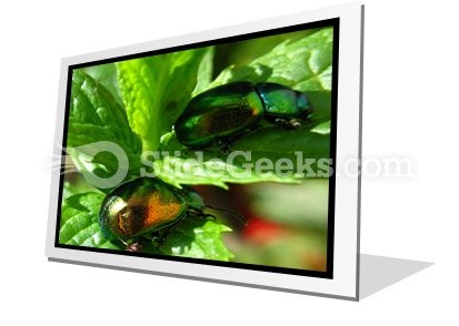 Shiny Beetles PowerPoint Icon F Shiny Beetles PowerPoint Icon F