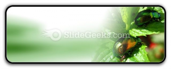 Shiny Beetles PowerPoint Icon R Shiny Beetles PowerPoint Icon R