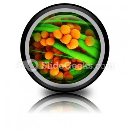 Staphylococcus Science PowerPoint Icon Cc